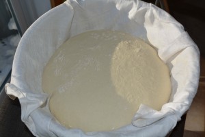 Fin de la pousse